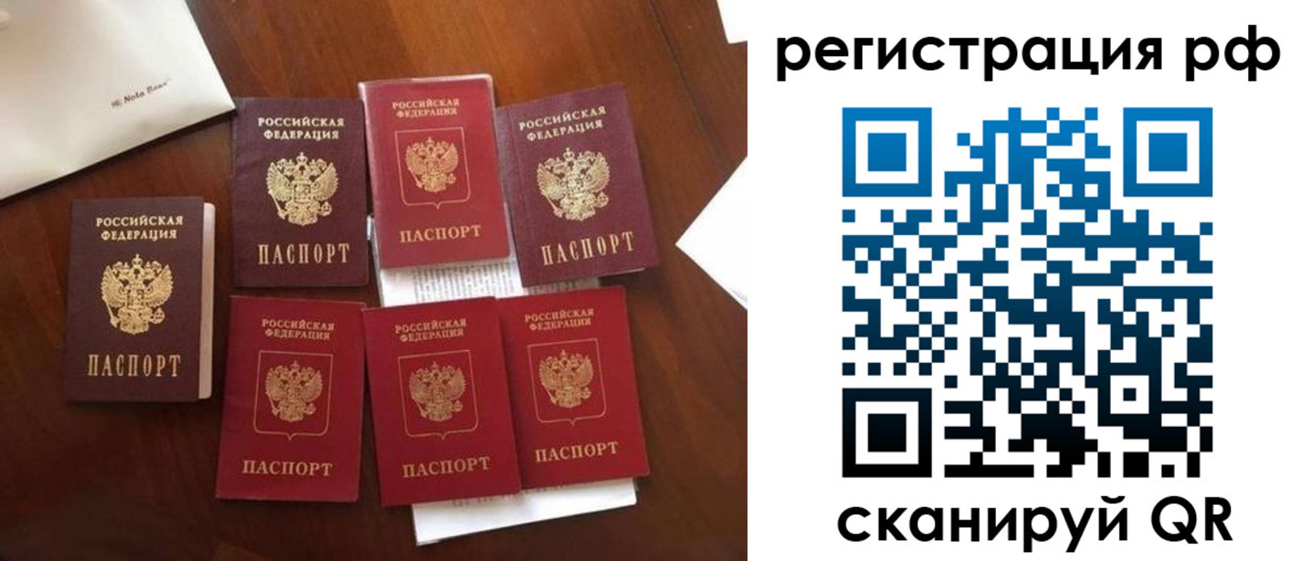 пропишу в квартире в Электрогорске